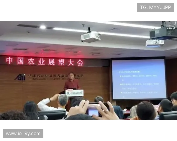 法国足球未来发展蓝图与全面振兴战略展望的实施路径与挑战分析